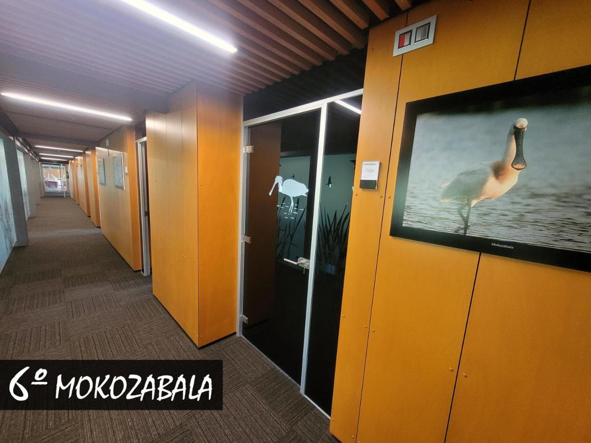 Urdaibai Bird Center Hotel Gautegiz Arteaga Room photo