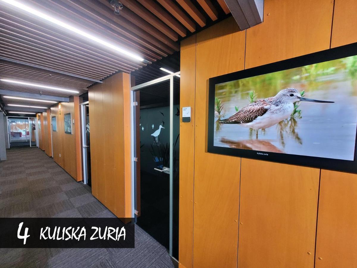 Urdaibai Bird Center Hotel Gautegiz Arteaga Room photo